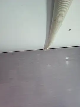 sweet lucia online show from 03/11/26, 09:21