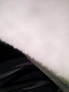 Pitercom online show from 11/10/25, 08:41