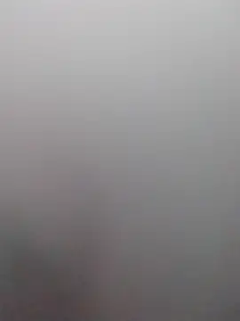 Yankeedave420 online show from 10/24/25, 04:58