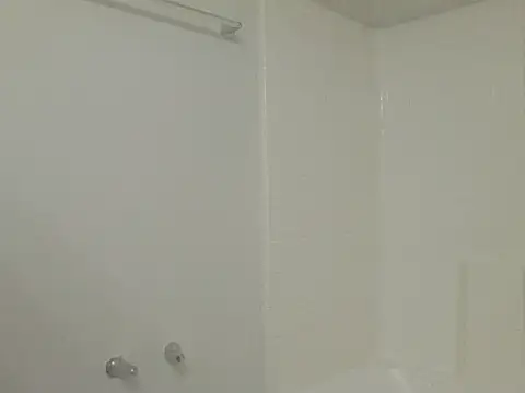 Yankeedave420 online show from 01/12/26, 02:50