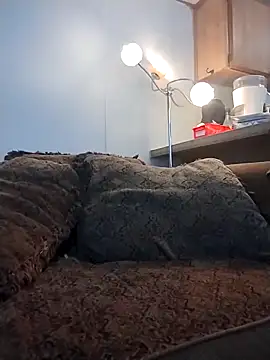 Yankeedave420 online show from 03/16/26, 11:31