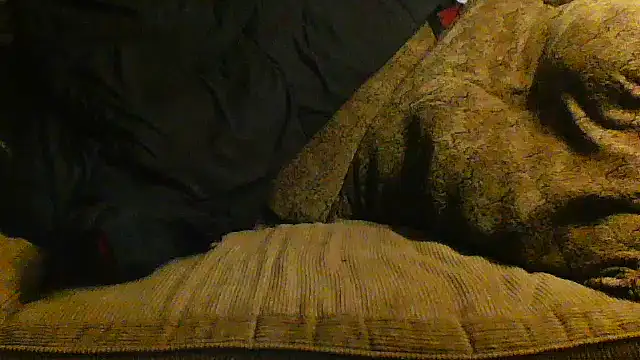 Yankeedave420 online show from 04/13/26, 05:46