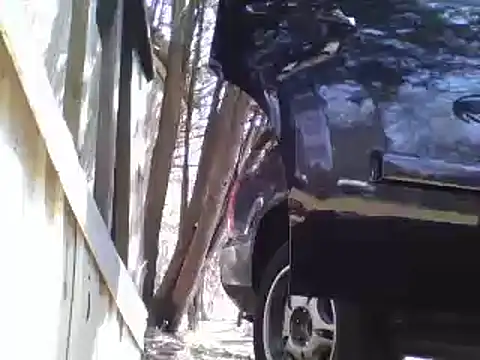 Yankeedave420 online show from 04/13/26, 05:51