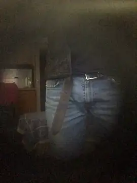 Snapshot of translove chatting on 12/16/24, 01:43 translove online show from 12/16/24, 01:43