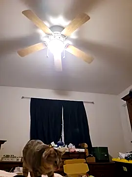 ScarletCallings420 online show from 02/19/25, 03:27