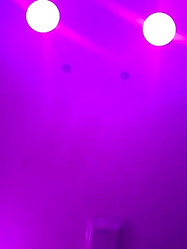 ScarletCallings420 online show from 02/24/25, 04:15