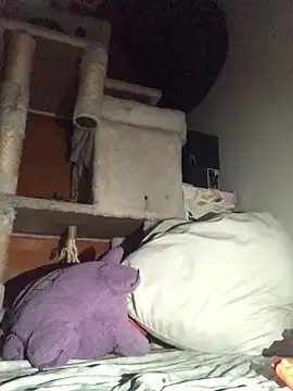 BIG-CkD F online show from 01/13/25, 12:02