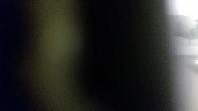 palidin1 online show from 02/01/26, 07:51