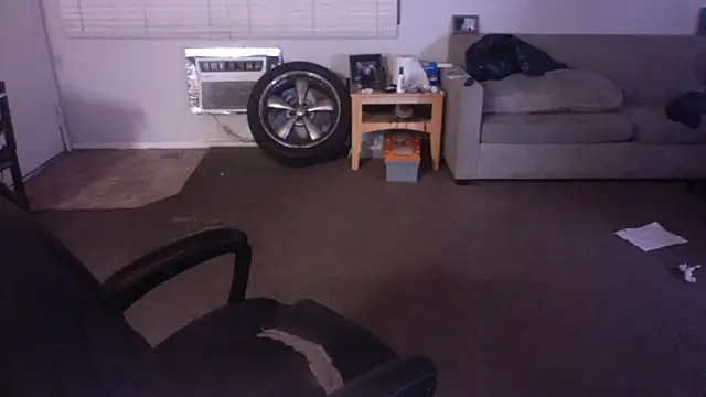 palidin1 online show from 04/17/26, 07:33