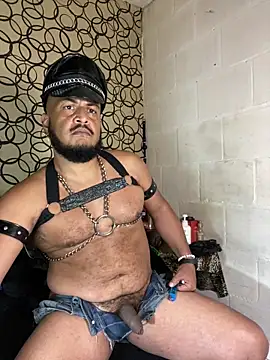 the master foal  online show from 04/02/26, 07:17