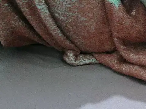 FUN4TIPS online show from 03/02/25, 06:37