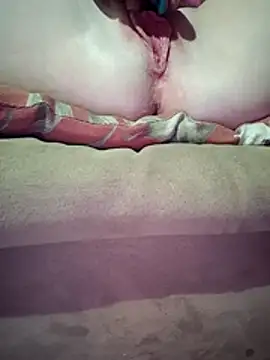 ToysRus24 online show from 03/26/26, 11:49