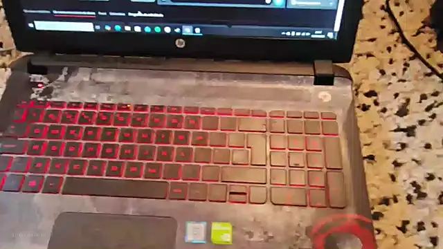 made in brazil online show from 01/11/26, 08:47