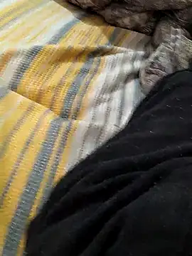 Snapshot of Yaramaz331 chatting on 03/09/25, 06:39 Yaramaz331 online show from 03/09/25, 06:39