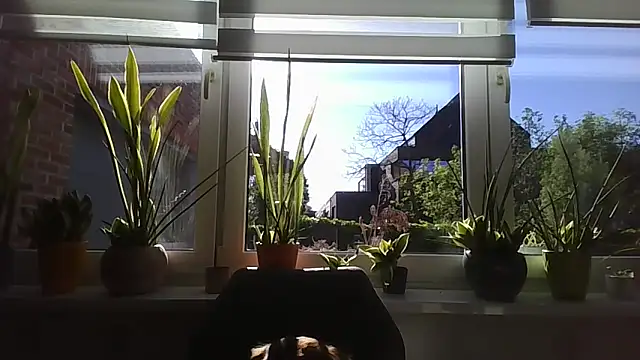 LiquidLeonie online show from 04/30/26, 07:04