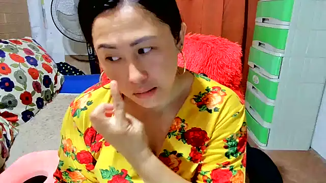 M e c e l online show from 09/19/25, 09:48