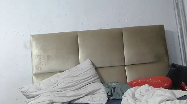 Snapshot of Lantti_Irres chatting on 12/21/24, 08:43 Lantti Irres online show from 12/21/24, 08:43