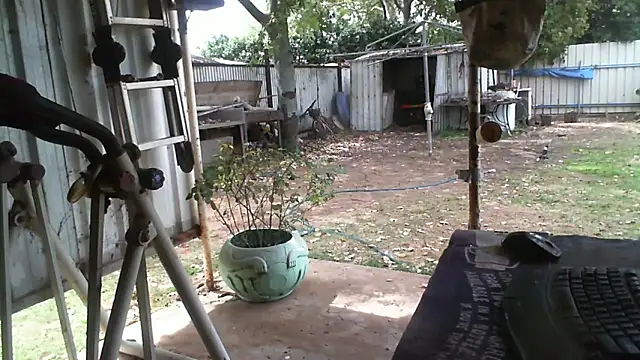 Snapshot of herbie010666 chatting on 09/16/25, 03:29 herbie010666 online show from 09/16/25, 03:29