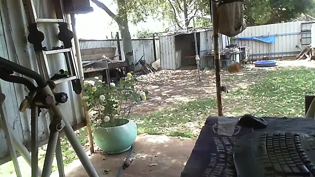 Snapshot of herbie010666 chatting on 10/12/25, 02:32 herbie010666 online show from 10/12/25, 02:32