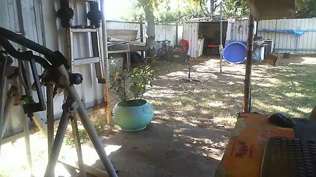 Snapshot of herbie010666 chatting on 08/07/26, 04:03 herbie010666 online show from 08/07/26, 04:03