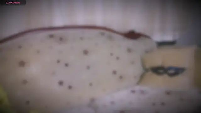 Snapshot of MERA_arab chatting on 01/19/25, 08:09 MERA arab online show from 01/19/25, 08:09