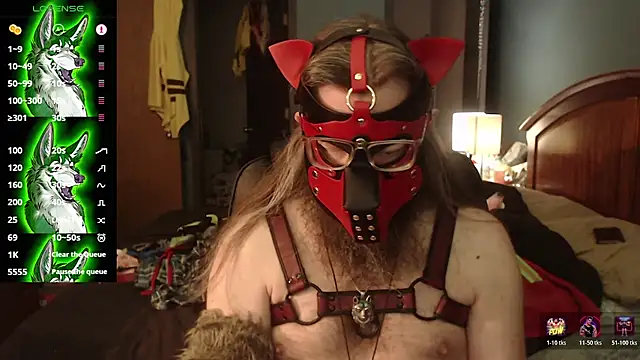 Snapshot of kinkywolf429 chatting on 07/22/26, 03:48 kinkywolf429 online show from 07/22/26, 03:48
