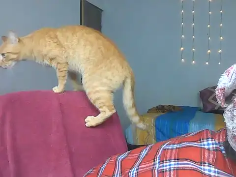 Olivia Bright online show from 03/18/26, 10:13