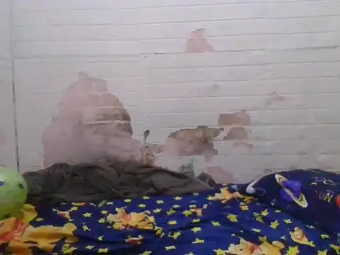 simplewild mom online show from 04/21/26, 02:04