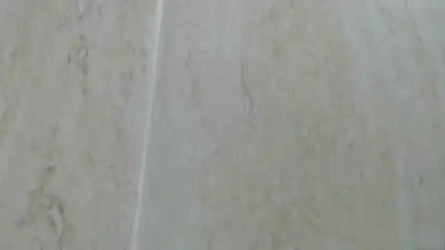 Crazy team  online show from 12/24/24, 08:05