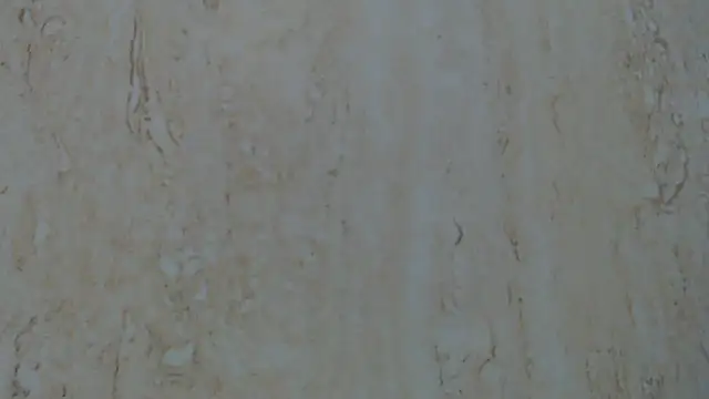 Crazy team  online show from 12/27/24, 12:29