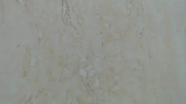 Crazy team  online show from 12/29/24, 12:41