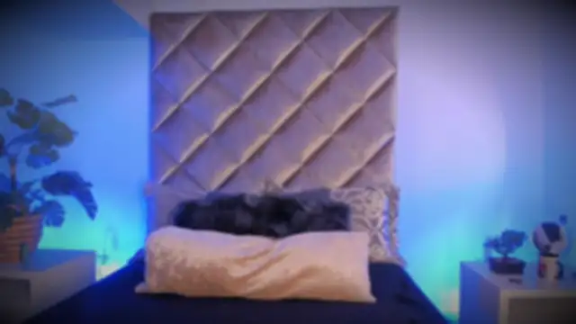 malaia hills online show from 11/10/25, 06:40