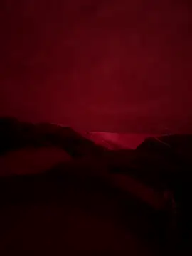 vicky 897n online show from 12/21/24, 07:24