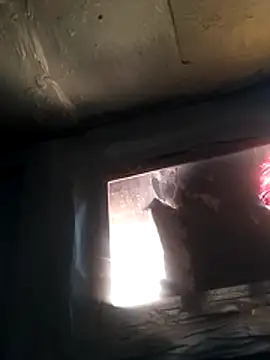 Wero4200 online show from 04/08/26, 07:36