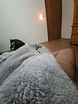 Calamaco07 online show from 11/28/25, 12:30