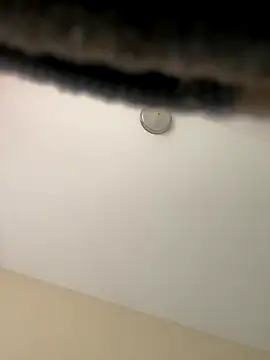 Iced cloudz online show from 12/14/25, 03:17