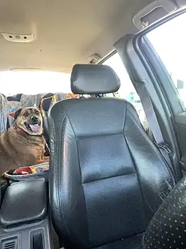 steph19x5 online show from 04/20/26, 05:16