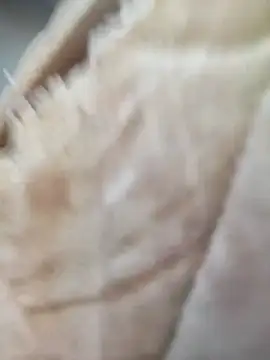 Comedordecu0289 online show from 09/20/25, 02:29