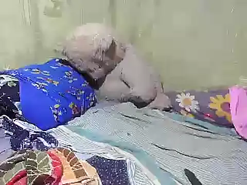 Alora-shine online show from 02/18/25, 09:21