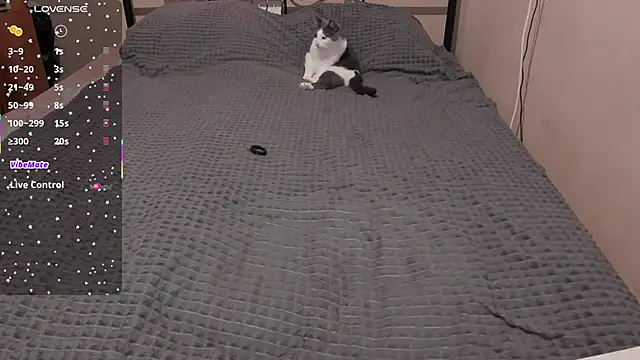 eva zero online show from 03/28/26, 11:10