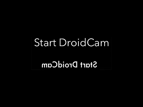 feathersify online show from 11/24/25, 07:19