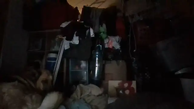 brandonontop online show from 02/11/26, 03:00
