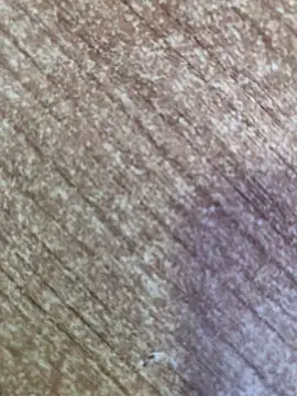 Snapshot of gokhanbey34 chatting on 10/26/25, 08:53 gokhanbey34 online show from 10/26/25, 08:53