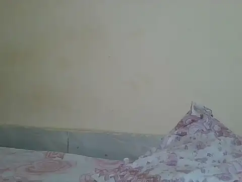 sexyjanett online show from 04/21/26, 05:50