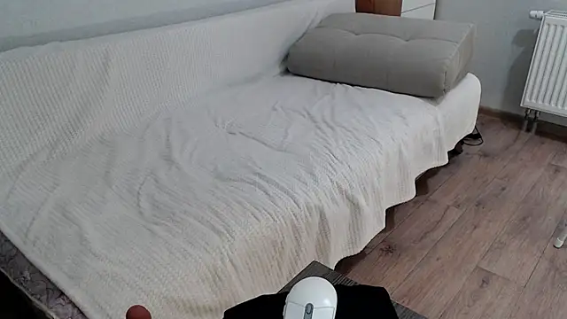 increible della online show from 12/13/24, 07:43