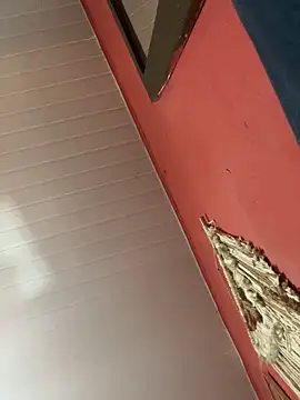 pimenta gaby online show from 10/18/25, 01:01