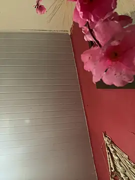 pimenta gaby online show from 04/17/26, 03:37