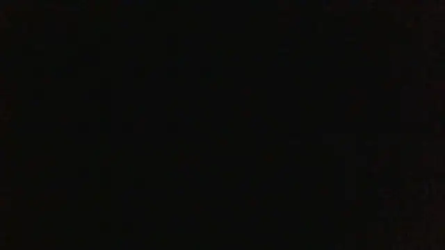 KittyBounty online show from 07/18/26, 08:45