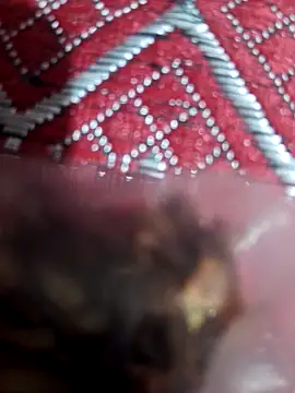 Snapshot of XBHUUME chatting on 02/01/25, 10:15 XBHUUME online show from 02/01/25, 10:15