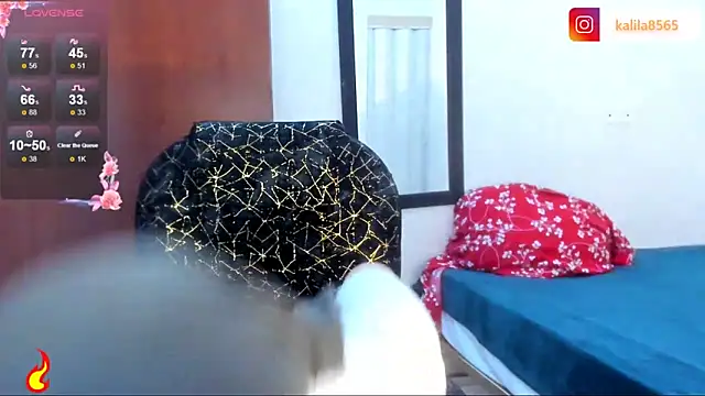 MatchedEyebrow online show from 04/11/26, 08:35